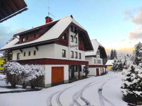 Alpenblick Apartment